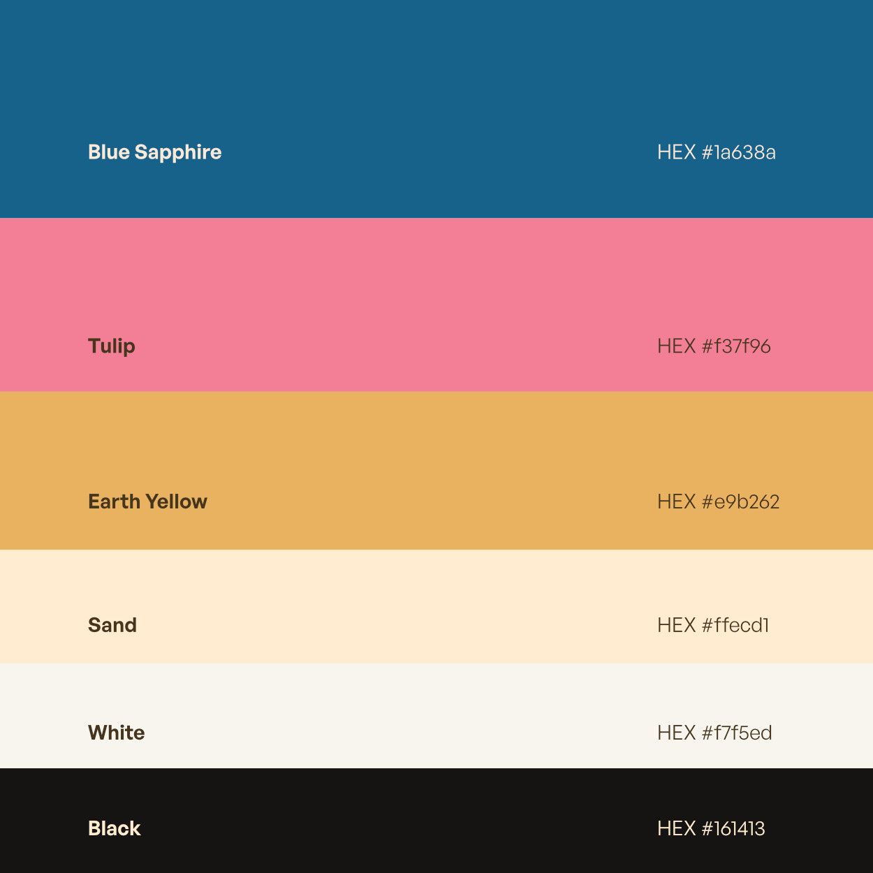 Color Palette